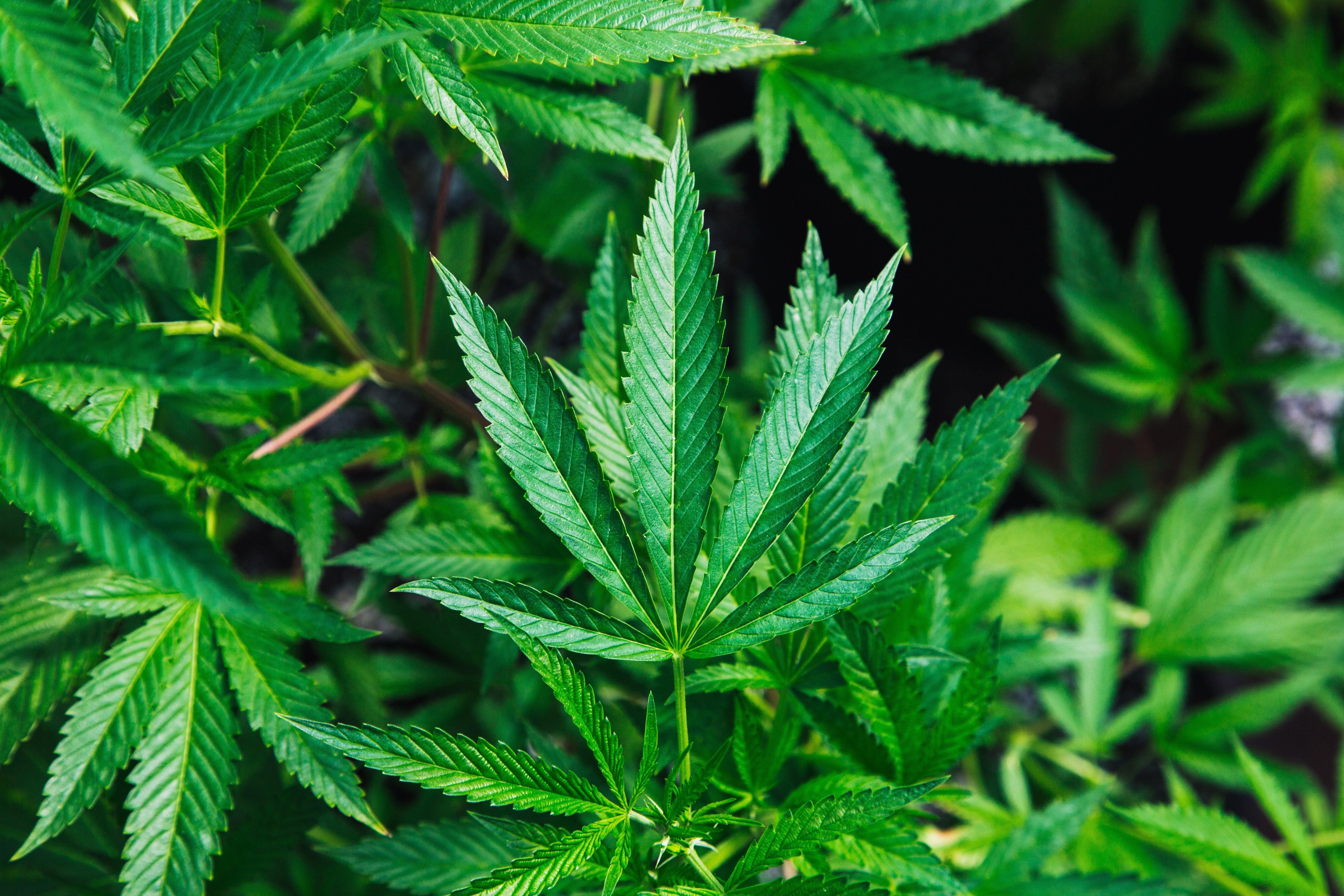 5 ways to make the most out of your harvest