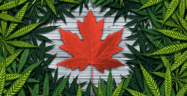 Canada Day 420 Style!
