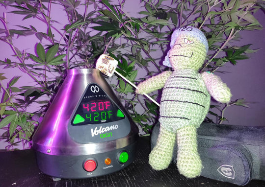 Cannabis Camping Essentials by Tyrone
