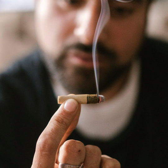 Pre-Rolled Joints Vs Roll Your Own
