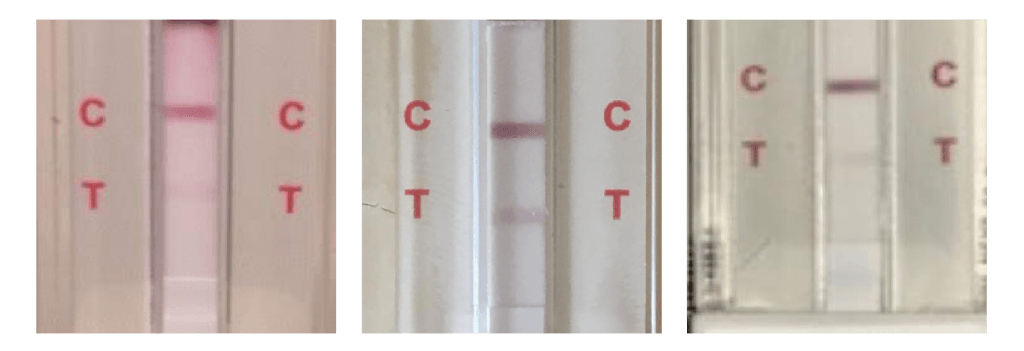 Understanding a Faint Line on your Home Drug Test