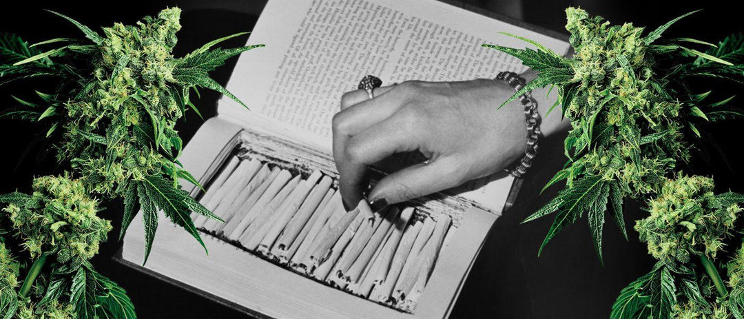 Must-Have Apparel and Accessories for Cannabis-Friendly Travel