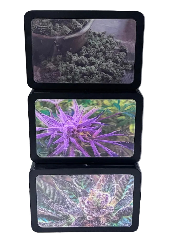 Three black stash tins displaying images of cannabis plants on a white surface.
