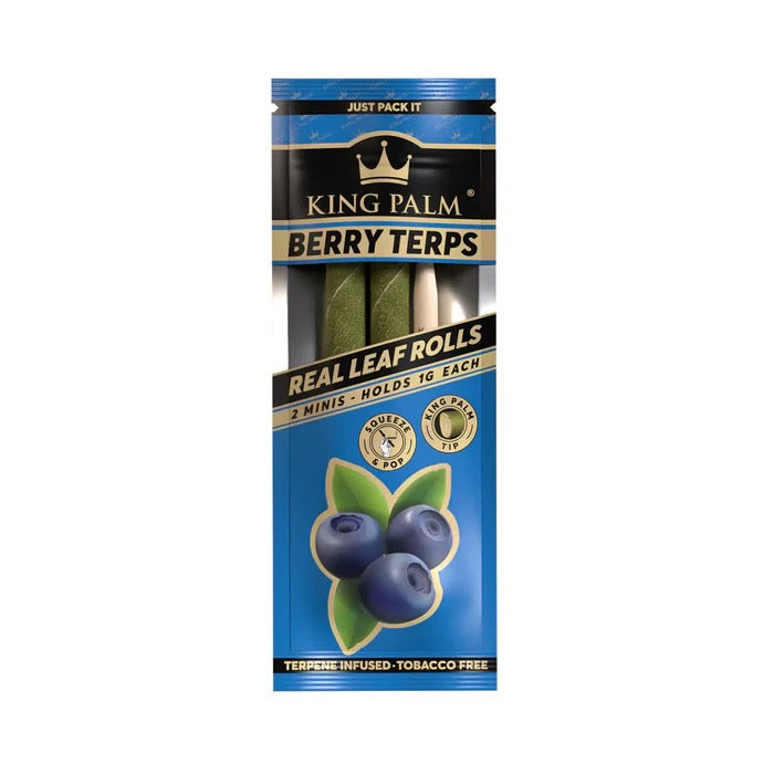 king palm berry mini 2pk - shell shock