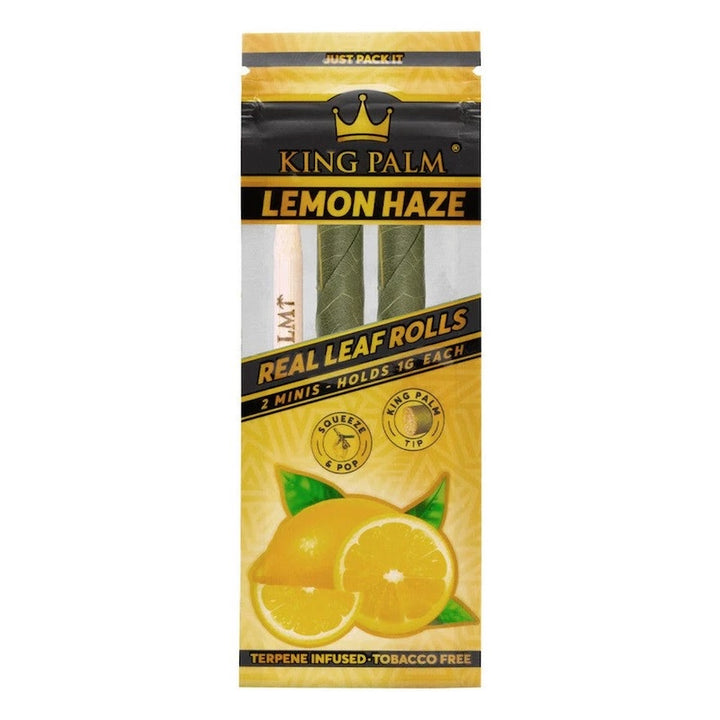 king palm lemon hae mini 2pk - shell shock