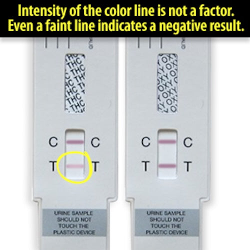 negative drug test results - shell shock