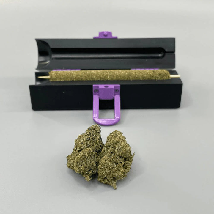 purple rose cannadar roller personal size - shell shock