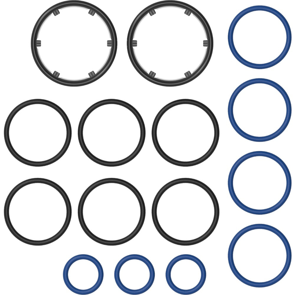 solid valve o rings - Shell Shock Edmonton Canada