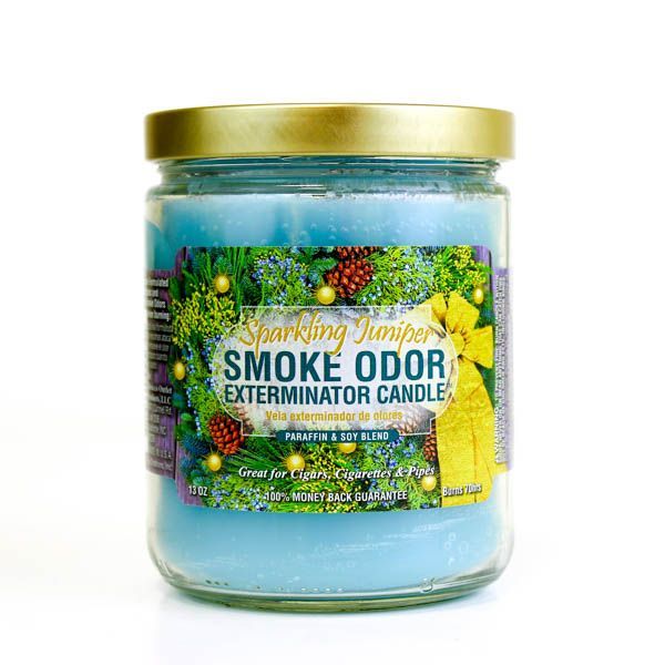sparkling juniper smoke odor candle - shell shock