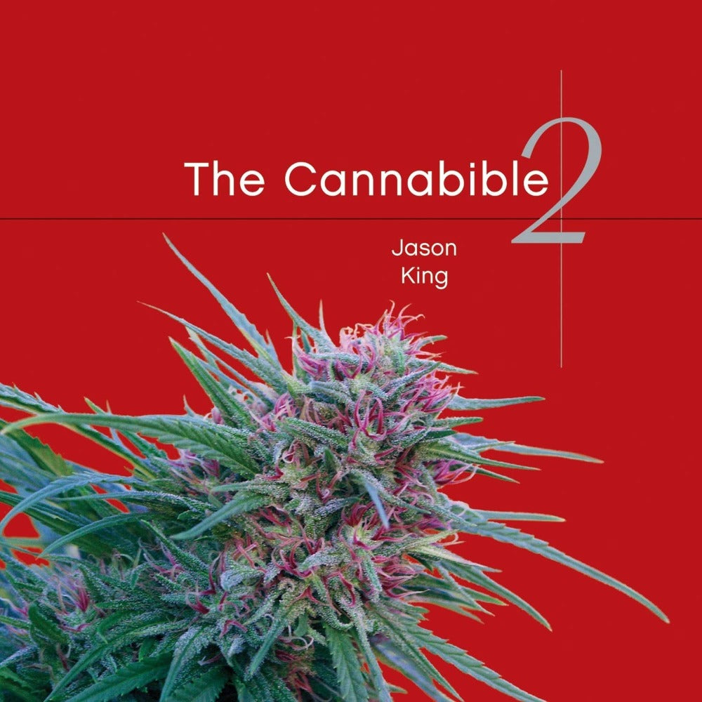 the cannabible volume 2 - shell shock
