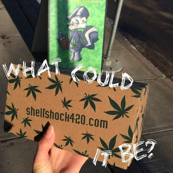 Mystery Box - Shell Shock