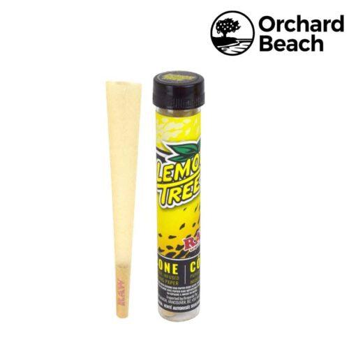 Raw Orchard Beach Lemon Tree Cone - Shell Shock